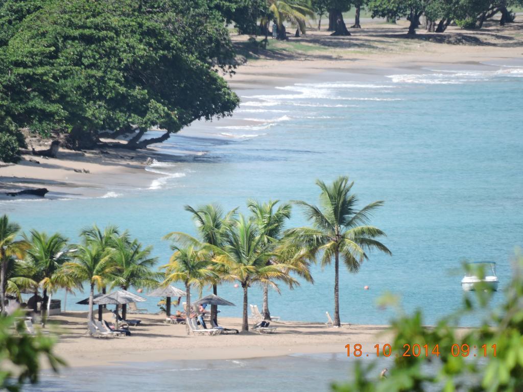 Amazing Beach View Apartments Castries Exterior photo